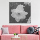 Search for daffodil canvas prints Nature