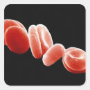 Search for electron stickers Colour effect