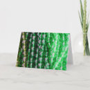 Search for beaded cards Beads