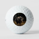 Search for bear golf balls Wildlife
