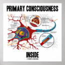 Search for consciousness posters Psychology