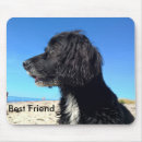 Search for best friend electronics Happy