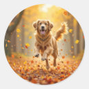 Search for golden autumn stickers Dog