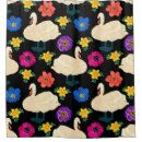 Search for black swan Illustration