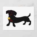 Search for doxie postcards Weiner
