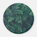 Search for fern magnets Woodland