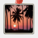Search for coconut christmas tree decorations Landscape