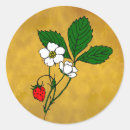 Search for wild berries stickers Strawberries