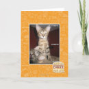 Search for idiot cards I can has cheezburger