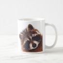 Search for racoon mugs Wildlife