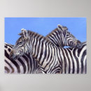 Search for zebra posters White
