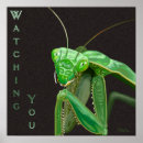Search for bug eyes posters Bugs