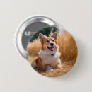 Search for dog photo badges Pet