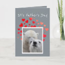 Search for polar bear cards Animal