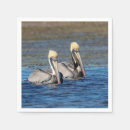 Search for pelican napkins Wildlife
