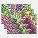 Search for grapevine gift wrap Grapes