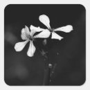 Search for black and floral stickers Dark