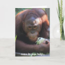 Search for orangutan birthday cards Baby