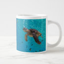Search for turtle coffee mugs Underwater