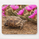 Search for animal gallery electronics Gordon illg