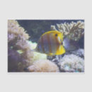 Search for saltwater fish crafts party Ocean