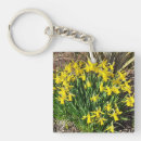Search for daffodil key rings Botanical