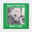 Search for st patty magnets Irish