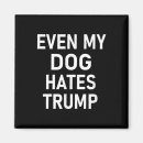 Search for anti hate magnets Take america back