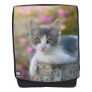 Search for kitten backpacks Cat