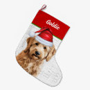 Search for goldendoodle christmas stockings Dogs