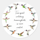 Search for hummingbirds stickers Cute