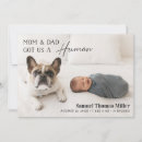 Search for pet birth announcement cards Dog