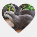 Search for cute otter stickers Wildlife