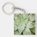 Search for succulent key rings Plants