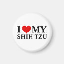 Search for shih magnets Lhasa apso