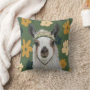 Search for llama cushions Boho