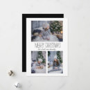 Search for 3 photo seasonal cards Three