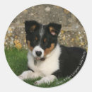 Search for leaf border stickers Dog
