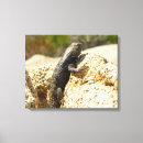 Search for back canvas prints Animal