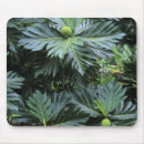 Search for french polynesia mousepads Pacific