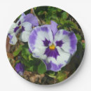 Search for pansy plates White