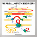 Search for genetics genes posters Biology