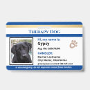 Search for lanyard id badges Blue