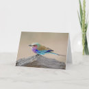 Search for length cards Outdoors