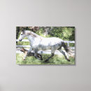 Search for buddy canvas prints Horse