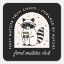 Search for animal lover stickers Racoon