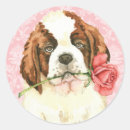 Search for st valentines stickers Saint bernard