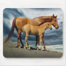 Search for spanish mousepads Animals