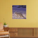 Search for arctic fox posters Vulpes lagopus