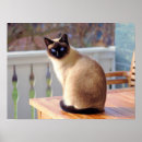 Search for veterinarian posters Cute